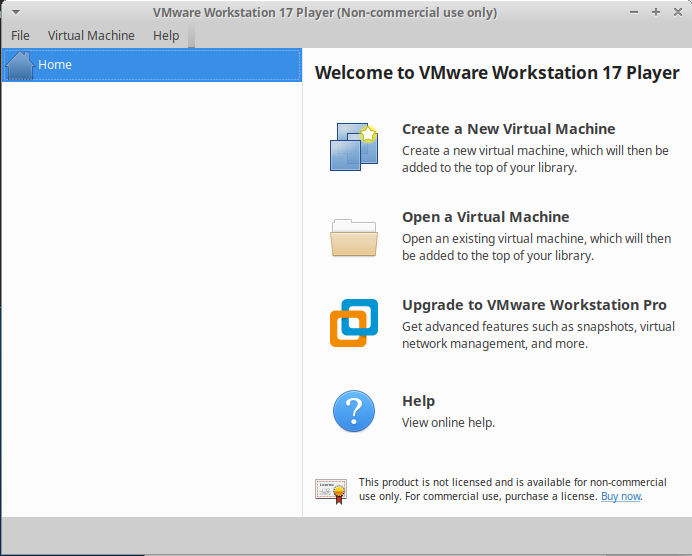 Running Windows Enterprise 11 inside VMWare (Inside Linux - with Success!)