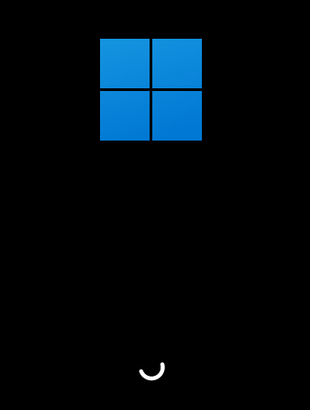 Running Windows Enterprise 11 inside VMWare (Inside Linux - with Success!)